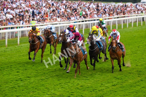 170623-Race 6-Mostawaa-0875 - Race 6 4.50pm Ice Co Supporting Macmillan Handicap