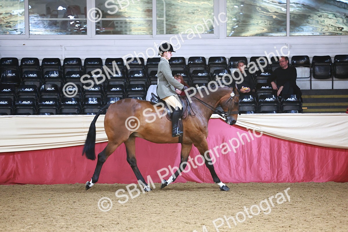 SBM_23998 - Class 905 - Supreme Final - Ridden Veteran