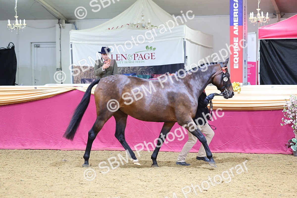 SBM_19405 - Class 901 - Supreme Final - IH Diamond