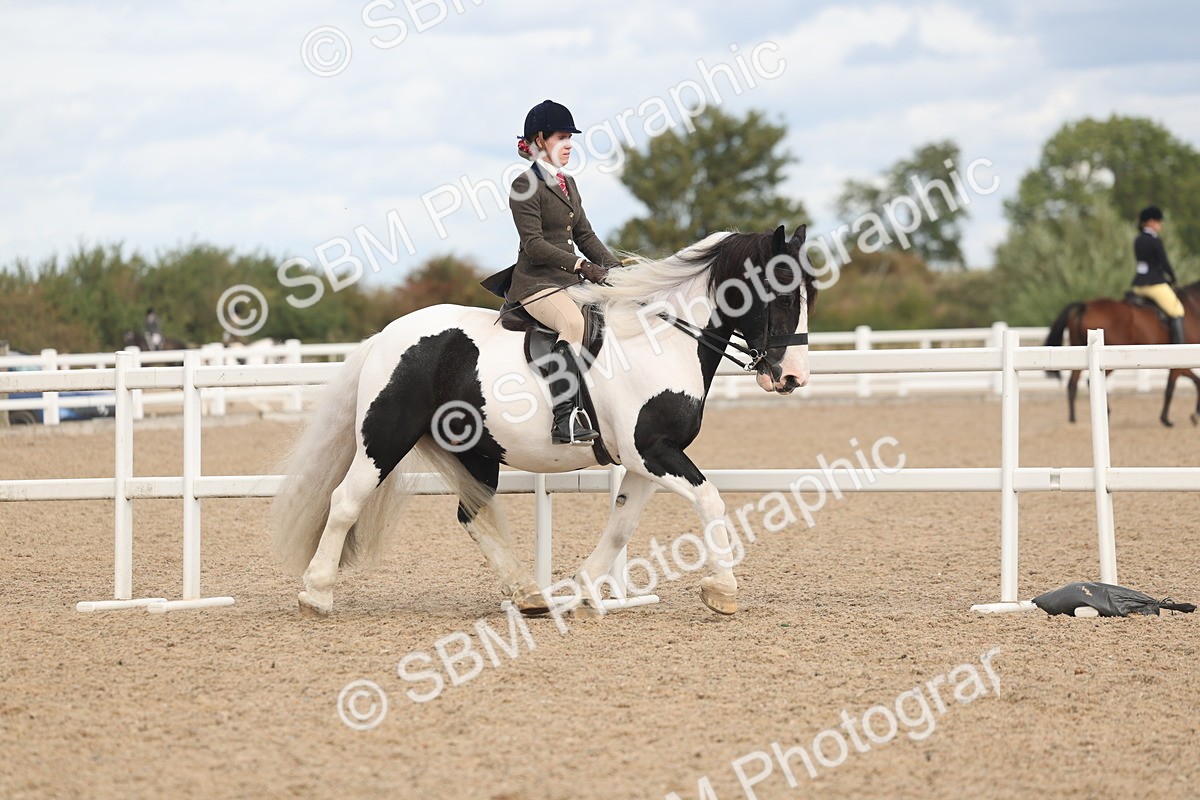 SBM_14737 - Class 308 - Ridden Coloured Horse