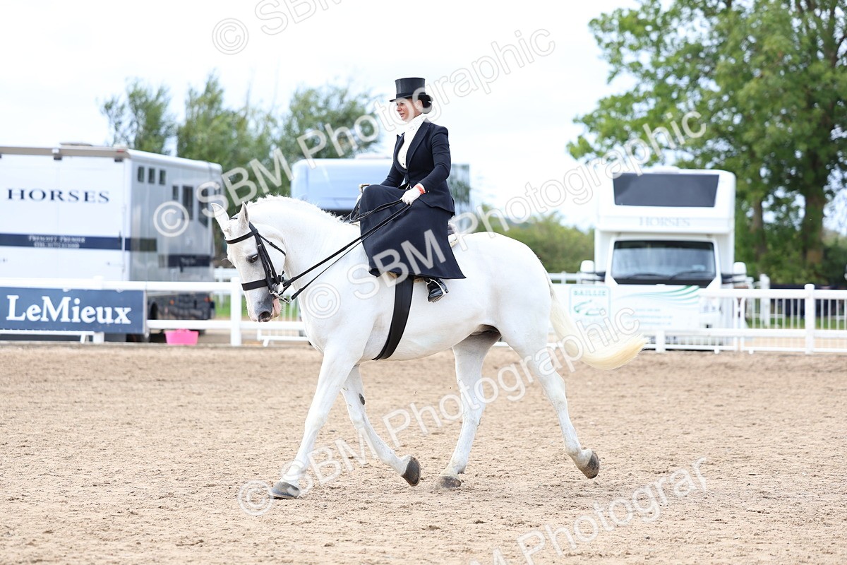 SBM_03433 - Class 24 - SSA Concours d'elegance (any age)