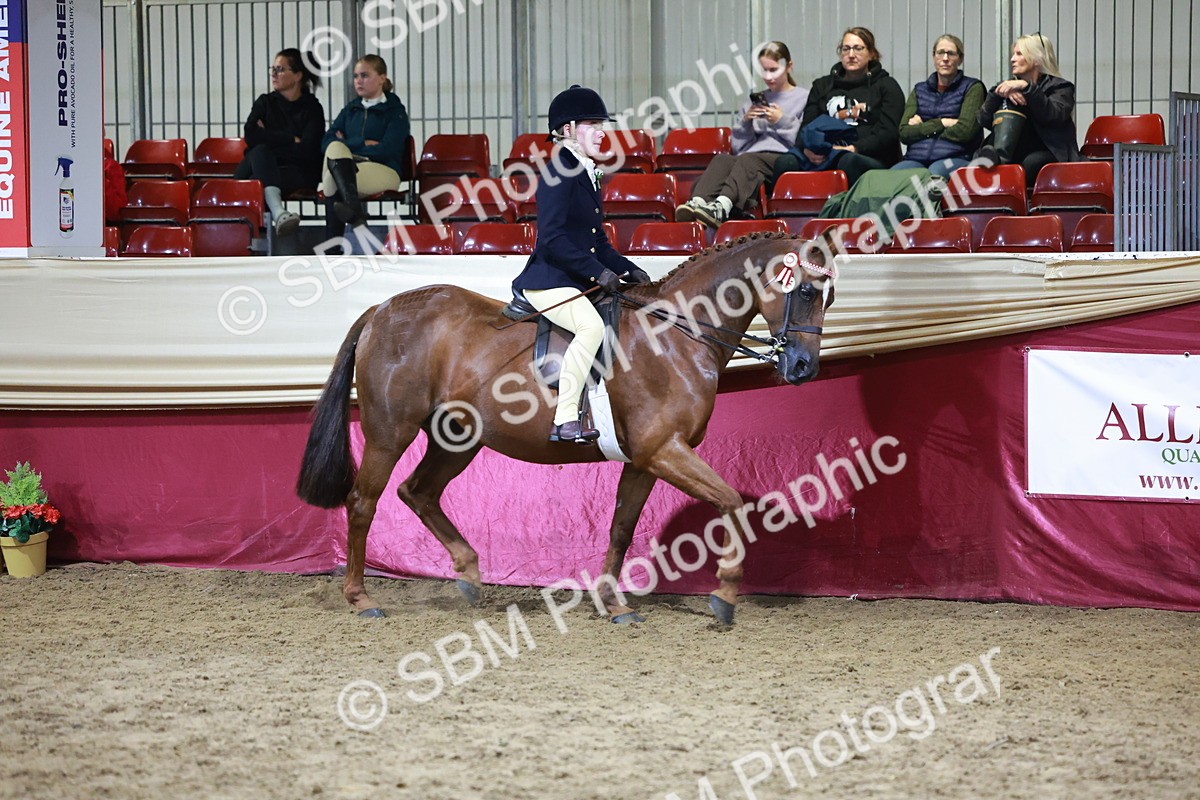 SBM_21216 - Class R - Veteran Champ