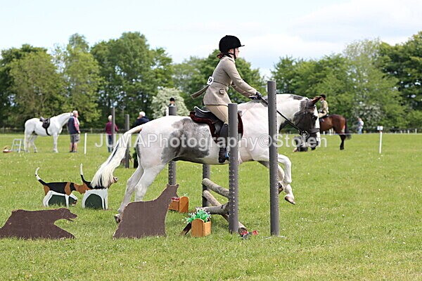IMG_3232 - Working Hunter