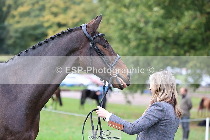 251026A-105143-23328 - F-428-Jemima.Wilson