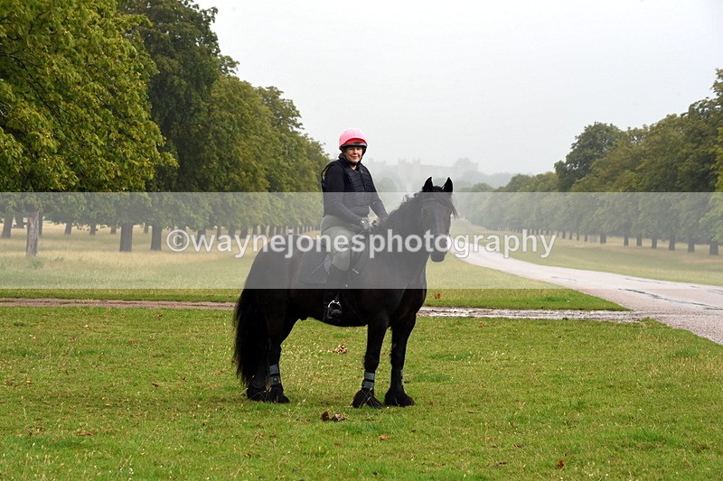 TT3_8035 - Time at Crossing 09:15 to 10:15