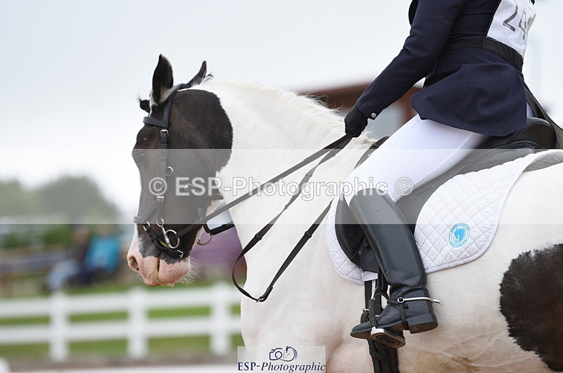 230708A-110856-01518 - Prelim 7