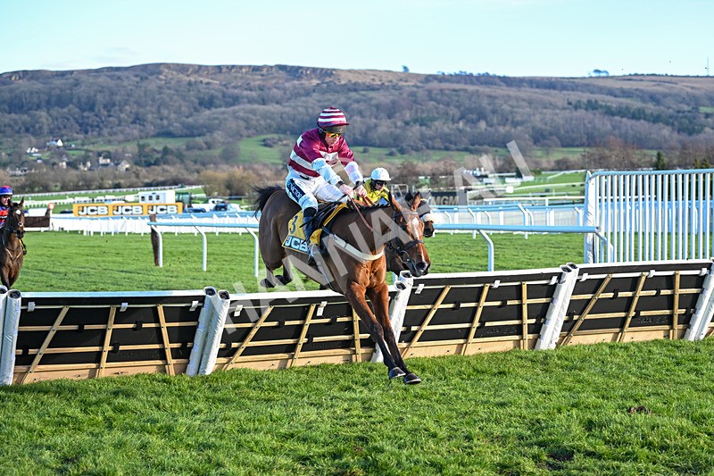 141224-Race 1-Moutarde-1119 - Race 1