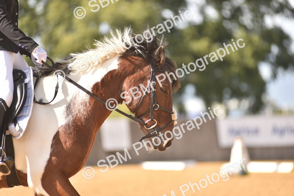 SBM_24251 - D4 - Small Tour Championship Intro 4