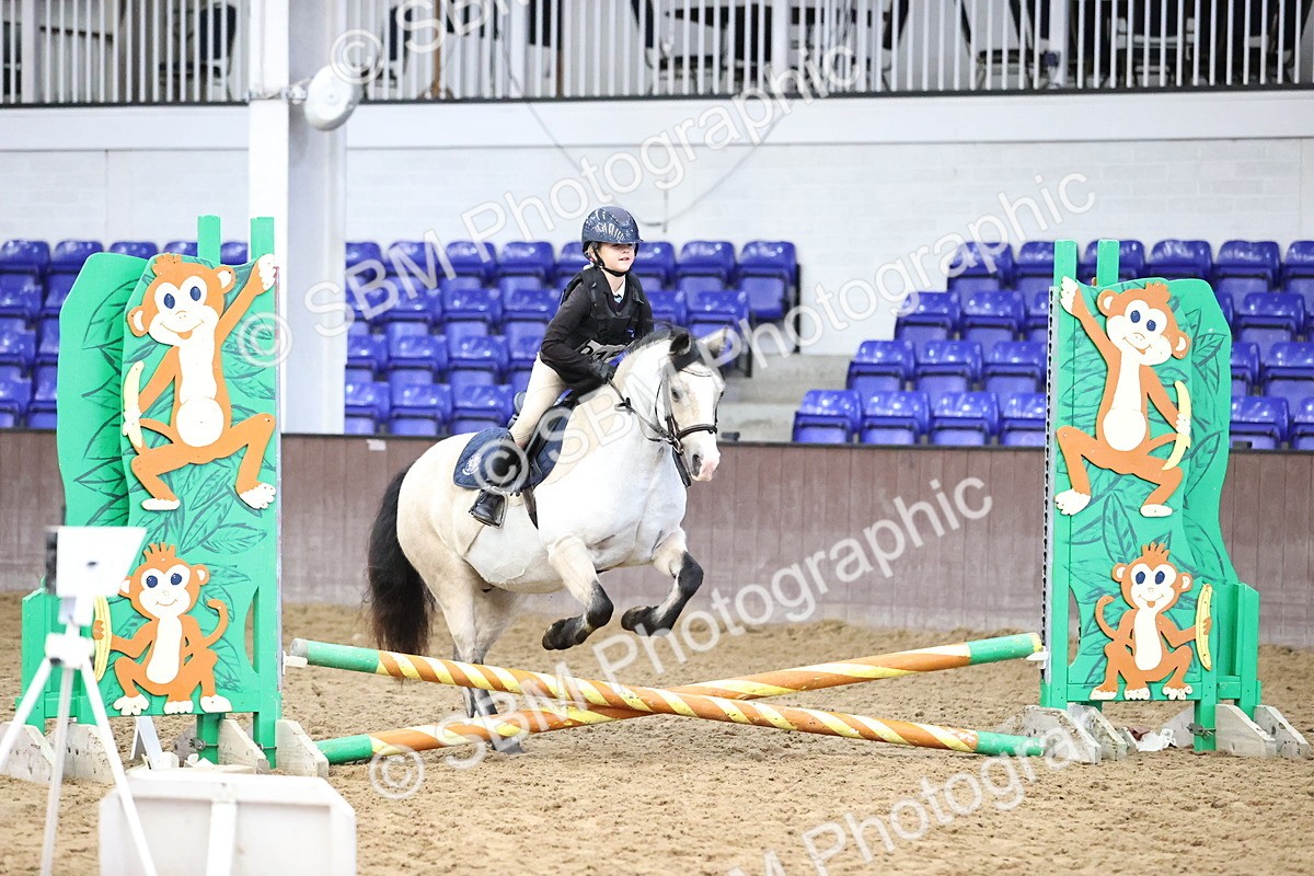 SBM_000253 - Class 2 - The Rug Lady 40cm Area 12 Championship Qualifier