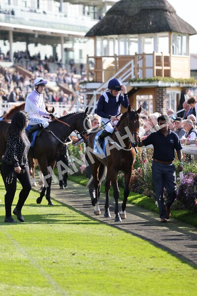 yr08102021r1-3 - Race 1 2.05pm Parsonage Hotel and Cloisters Spa Nursery Handicap