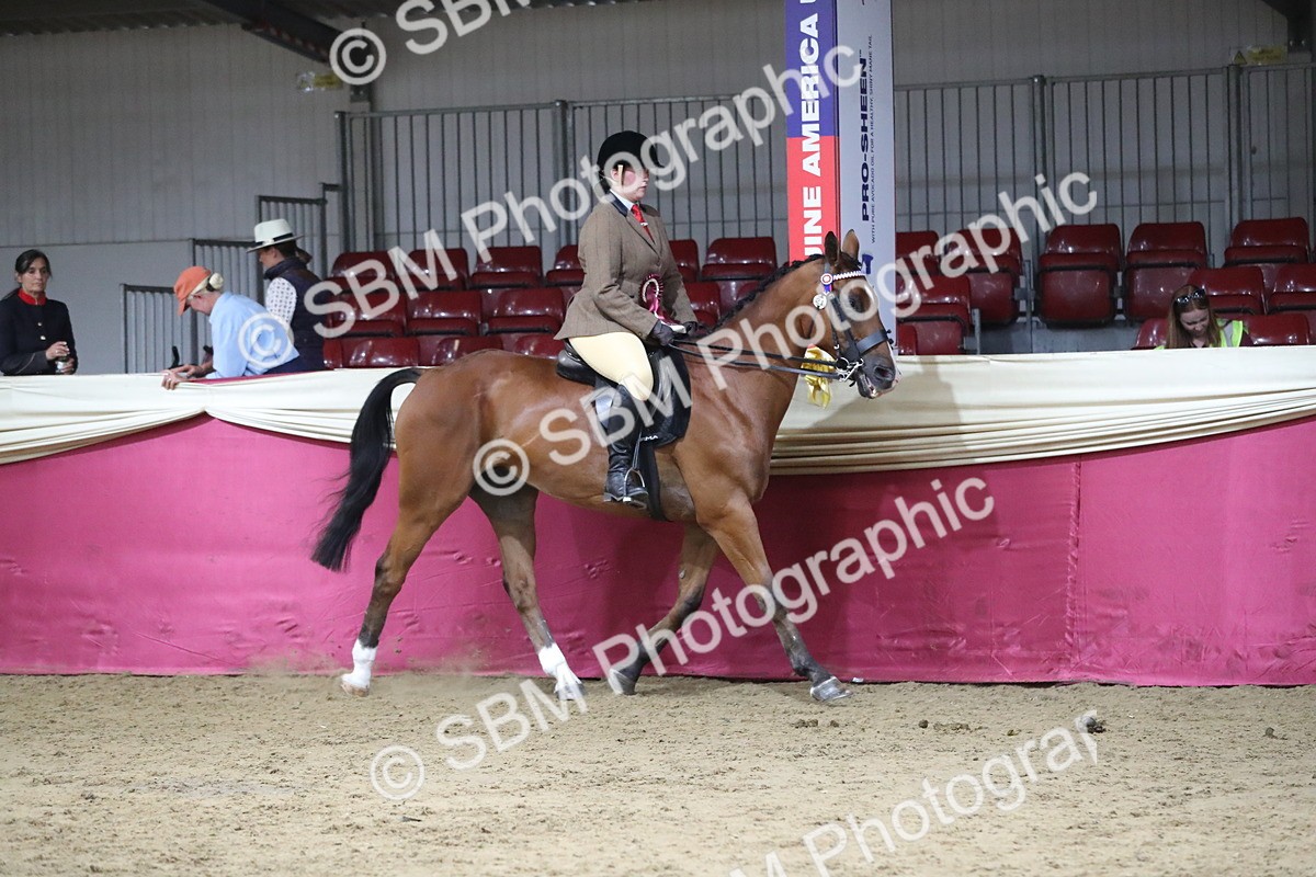 SBM_08502 - Class 11R Regional Ridden Veteran