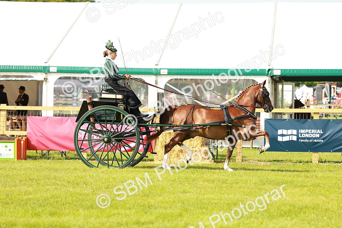 SBM_01172 - Class 2-4 - HOYS Private Driving