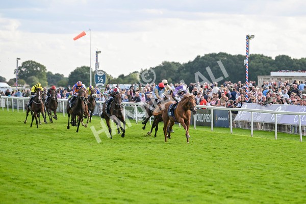 230824-Race 6-Angelo Buonarroti-9854 - Race 6 4.45pm British Stallion Studs EBF Convivial Maiden Stakes