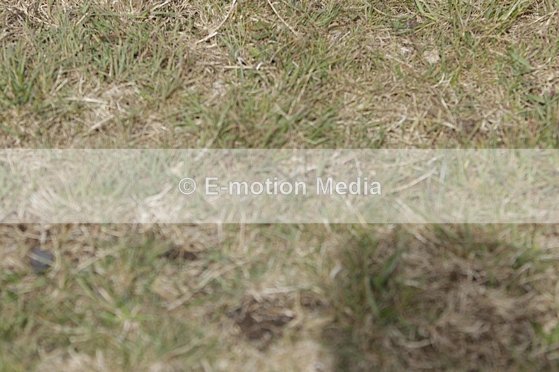 BVHT 140517 I-561 - Class 1 SJ Intermediate 14/05/17