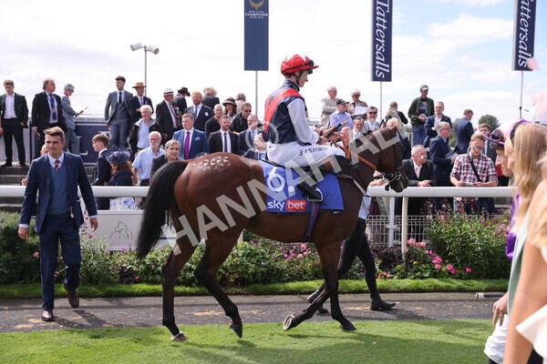 yr17082022r1-021 - Race 1 1.50pm Sky Bet & Symphony Group Stakes