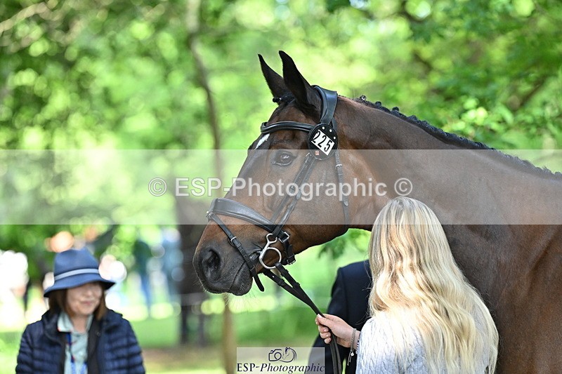 250521A-162822-01165 - C-225-Molly.Adams-QUINARA