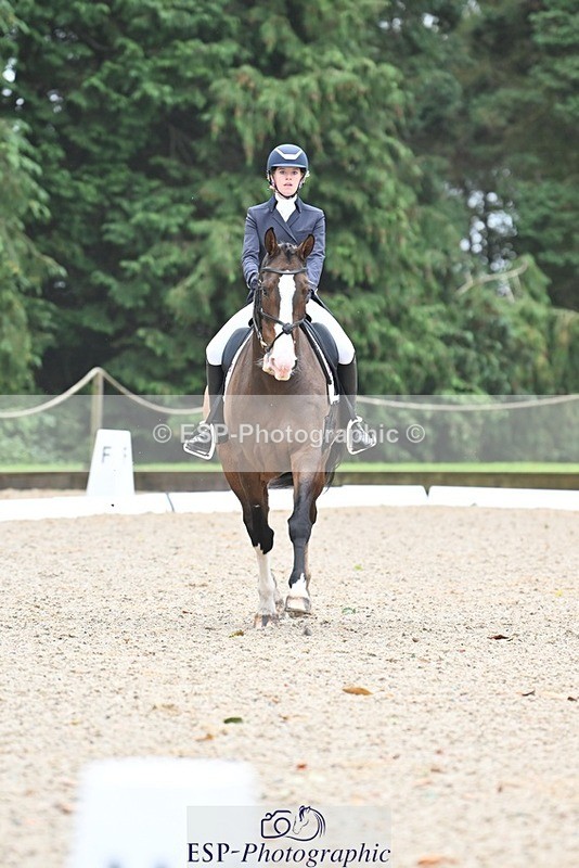 231019-104637-01963 - 103-BEECH.HILL.KIKO.CLOVER-Harriet.Blair-DR