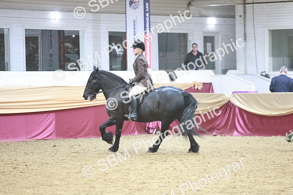 SBM_08885 - Class 12R - Regional Ridden Pre-Vet