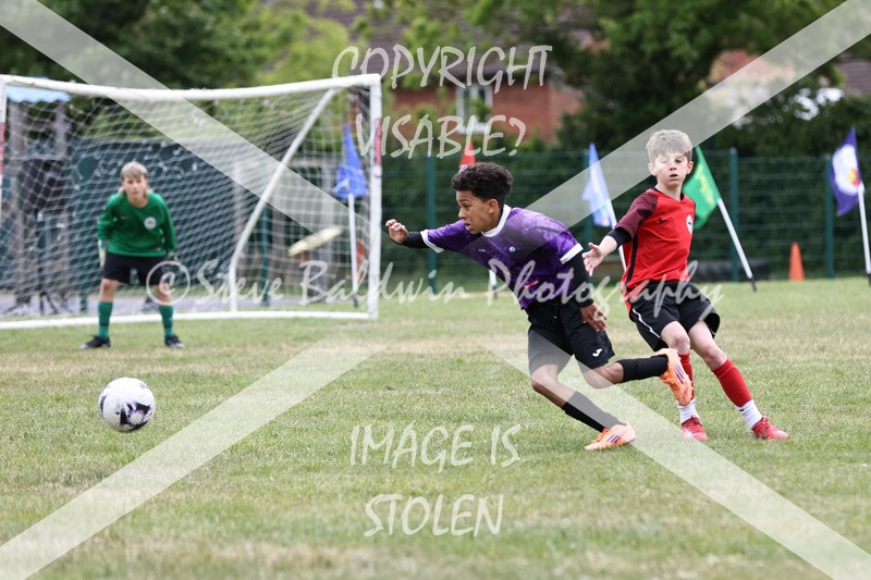 1DX30926 - Brook Field V Goddard Park