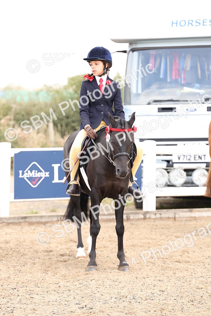 SBM_04212 - Class 54 - Riding Club Horse/Pony