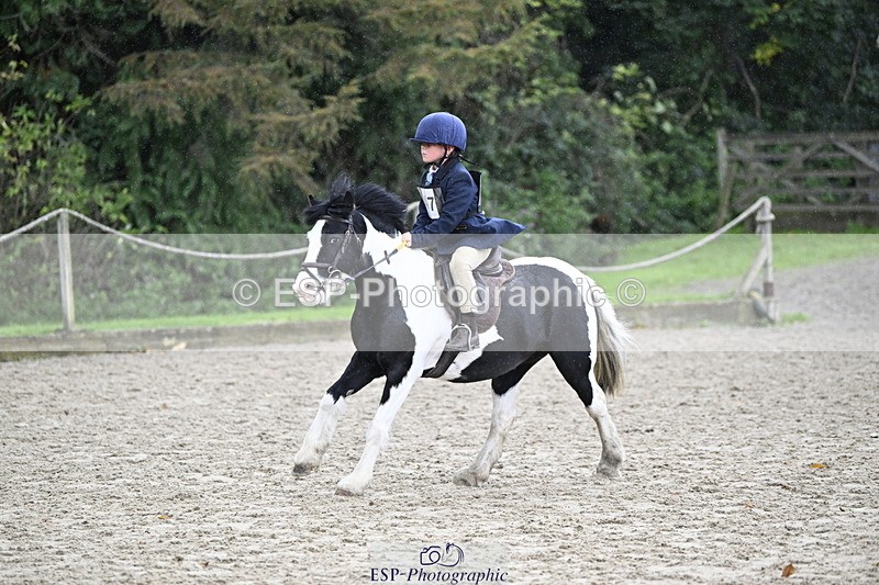 251005A-120424-03594 - Cls 08 Mini 70-75cm