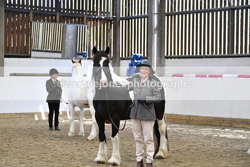 WJ5_5113 - Class 7 In hand coloured / odd coloured