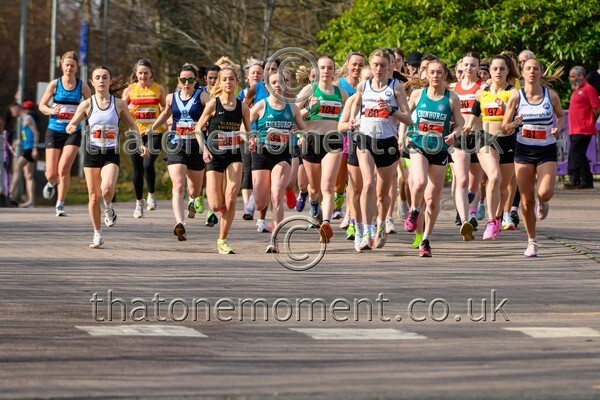 Livi26-928681 - Female Set One