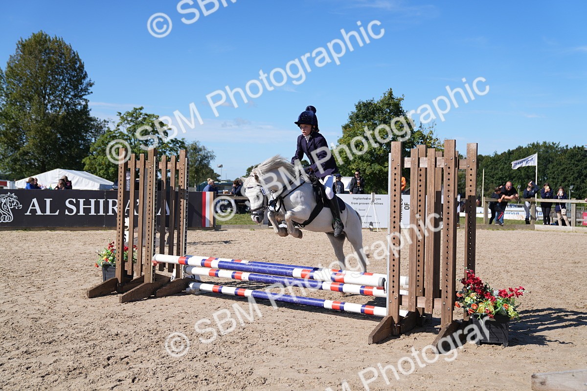 SBM_19477 - J57 - Clear Round 50cm