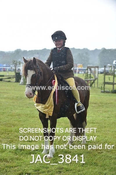 JAC_3841 - 65cm WORKING HUNTER