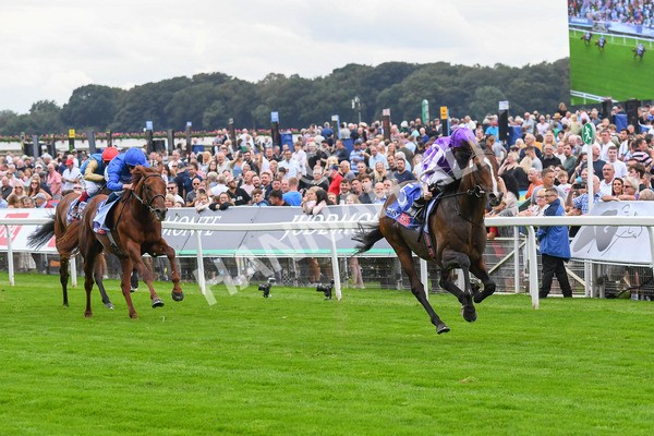 230823-Race 3-Continuous-0458 - Race 3 3.00pm Sky Bet Great Voltigeur Stakes