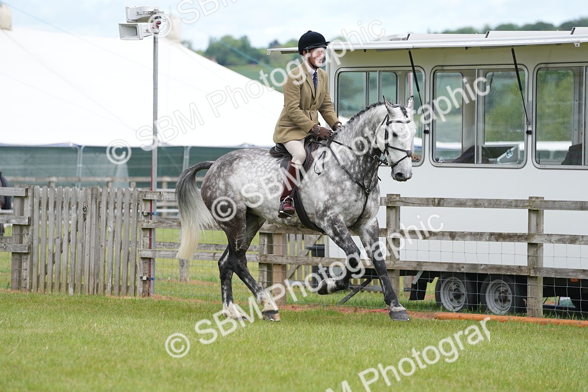SBM_14875 - Class 100-102 - RIHS Working Hunter