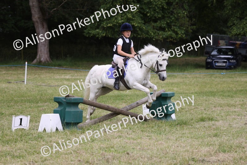 20260614-4384 - Class 25 - Horse and Hound Jumping