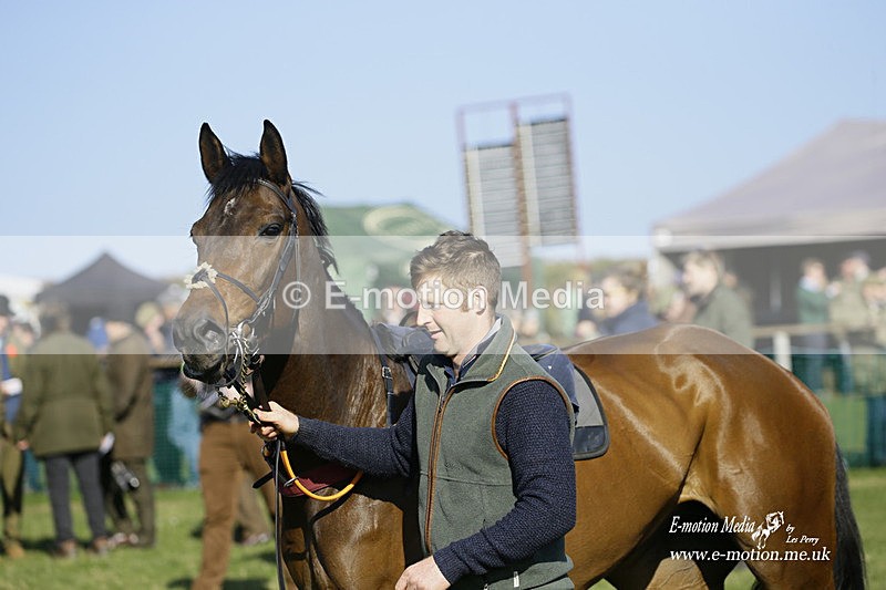 PtP 190322 647 - Wilton Hunt PtP Milborne St Andrew 19/03/22
