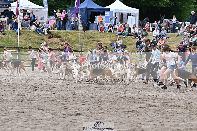 250524A-152733-12747 - East Devon Hounds