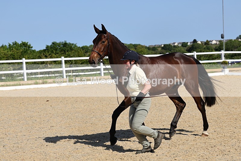 1X9A0785 - Class 4: Youngstock 1, 2, 3 year old to exceed 153cm
