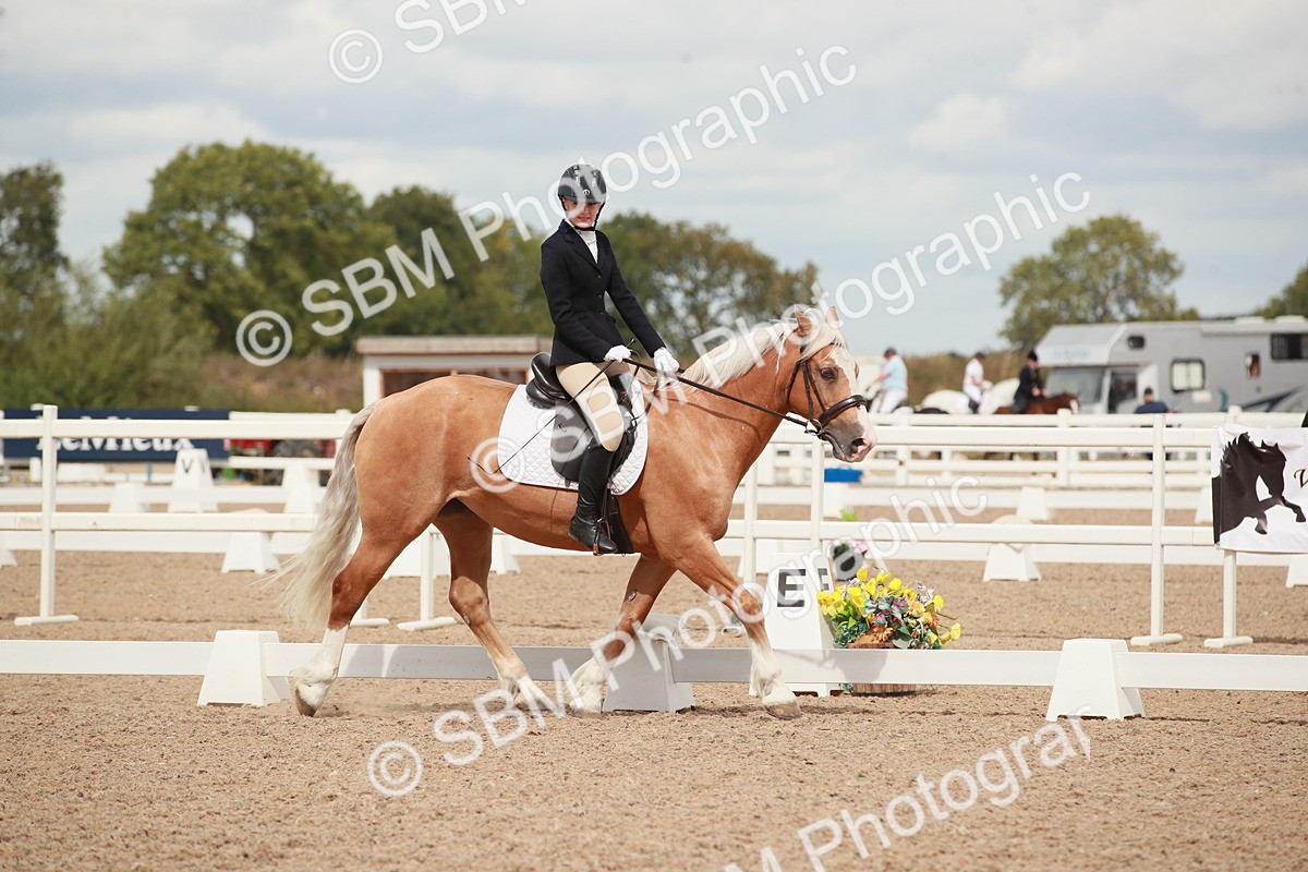 SBM_05895 - Class 32 - Novice 1