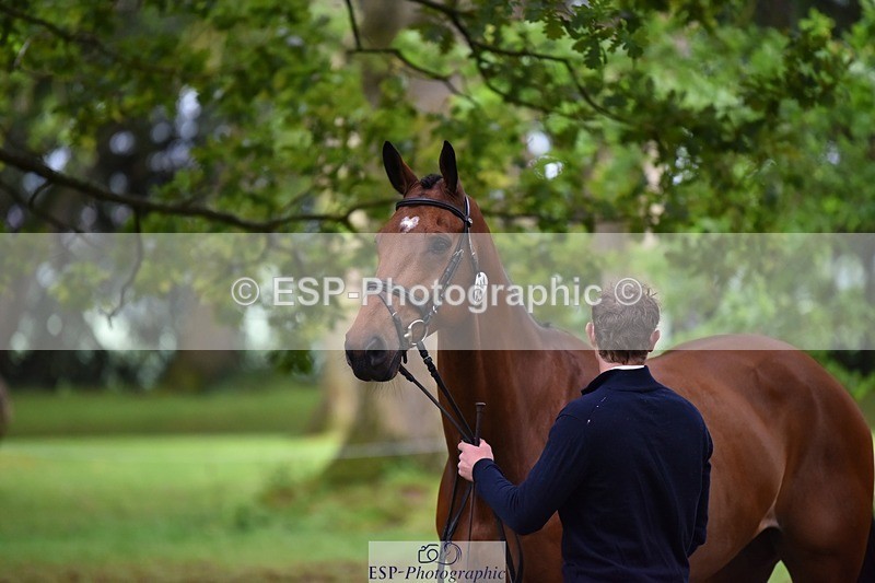 240522-170918-01422 - 241-CLASS_ROMANCE-Jack_Pinkney