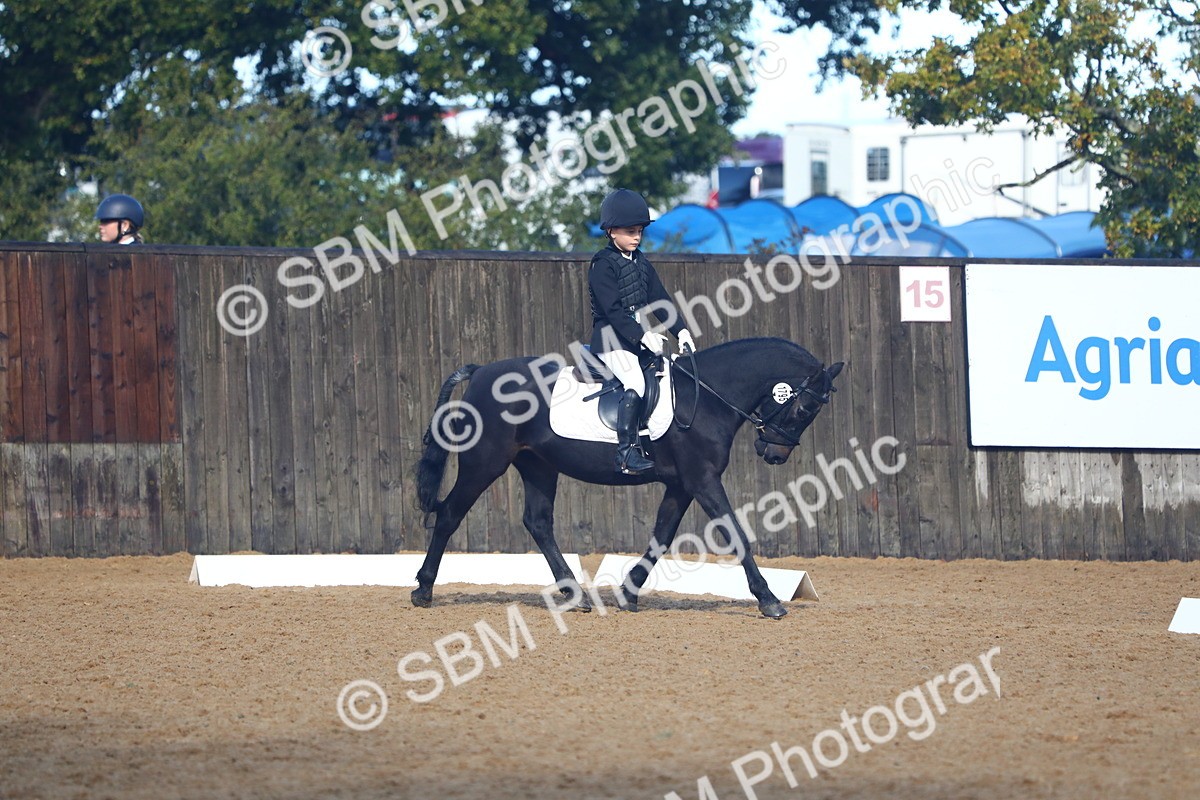 SBM_38907 - D21 - Junior Championship Intro 1