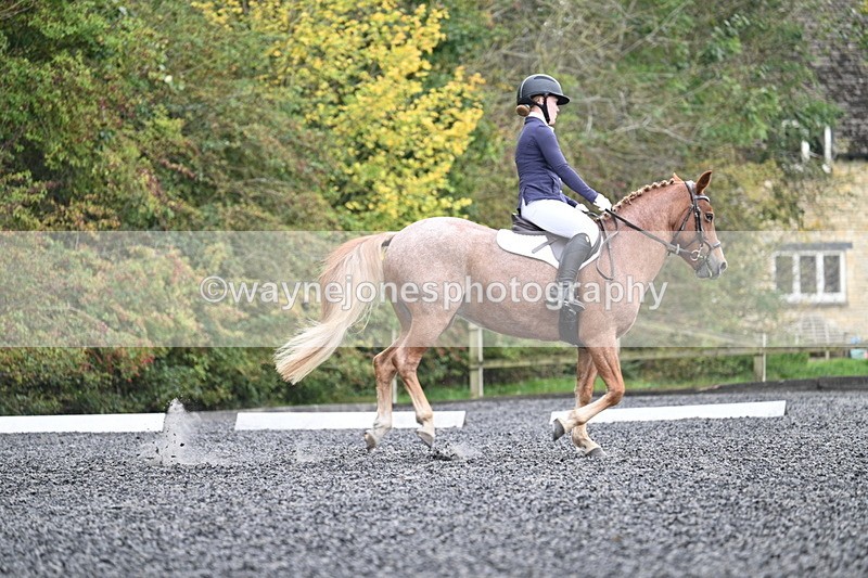 WJ7_3729 - Time 11:04 to 11:38