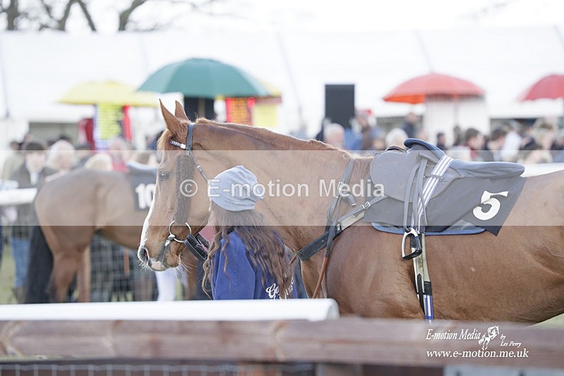 PtP 180323 767 - Shelfield Park Races with Croome & West Warwickshire Hunt  18/03/23
