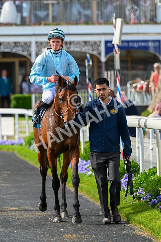 230526-Race 6-Pearl River-7816 - Race 6 16.25pm Royal Yorkshire Regiment Handicap