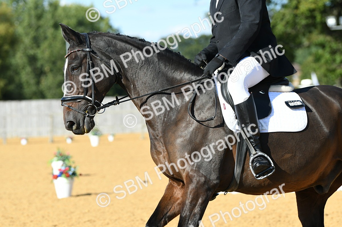 SBM_27194 - D16 - Small Tour Championship - Novice 28