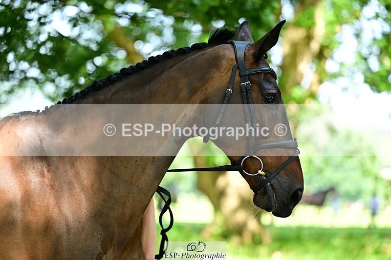 260527A-151921-01072 - C-363-Katherine.Naylor