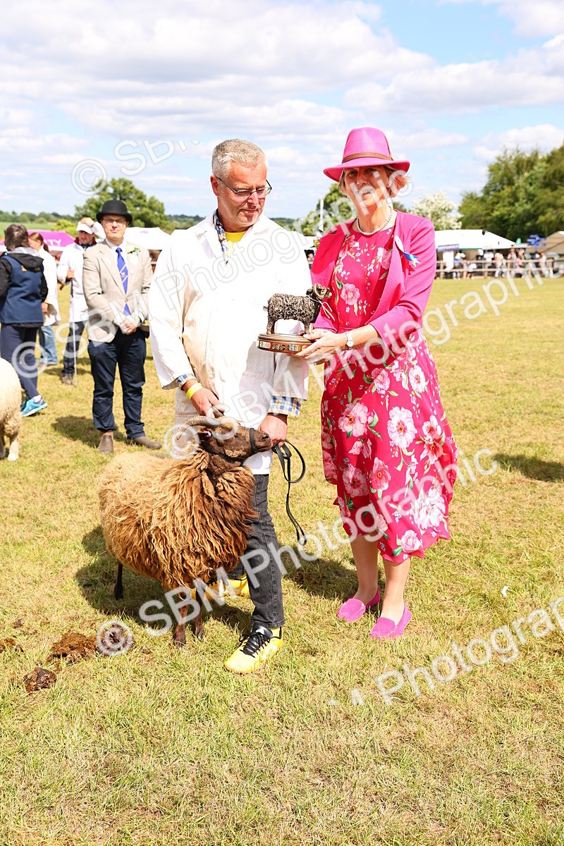 SBM_17002 - Grand Parade