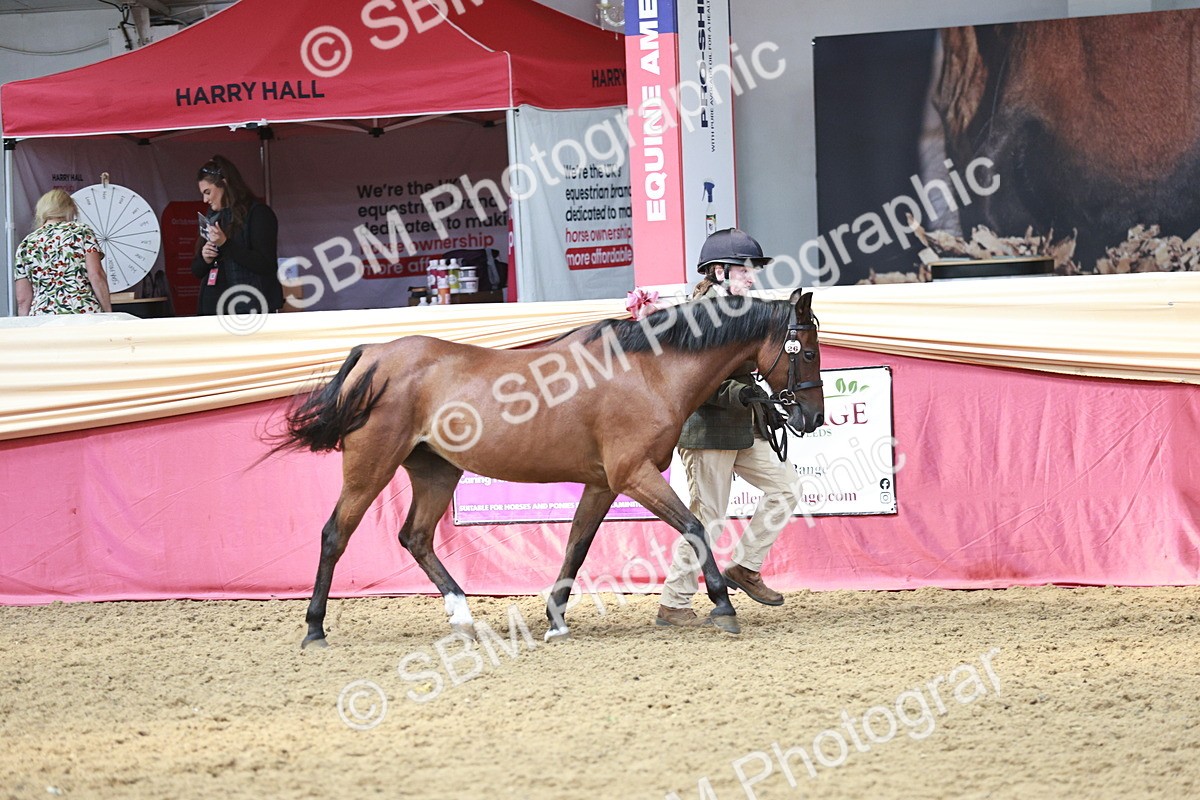 SBM_04762 - Class 7R - Regional IH Diamond