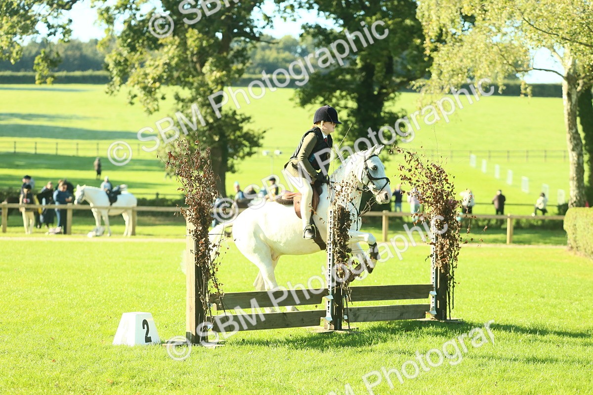 SBM_36277 - S29 - Novice & Newcomers Working Hunter Pony