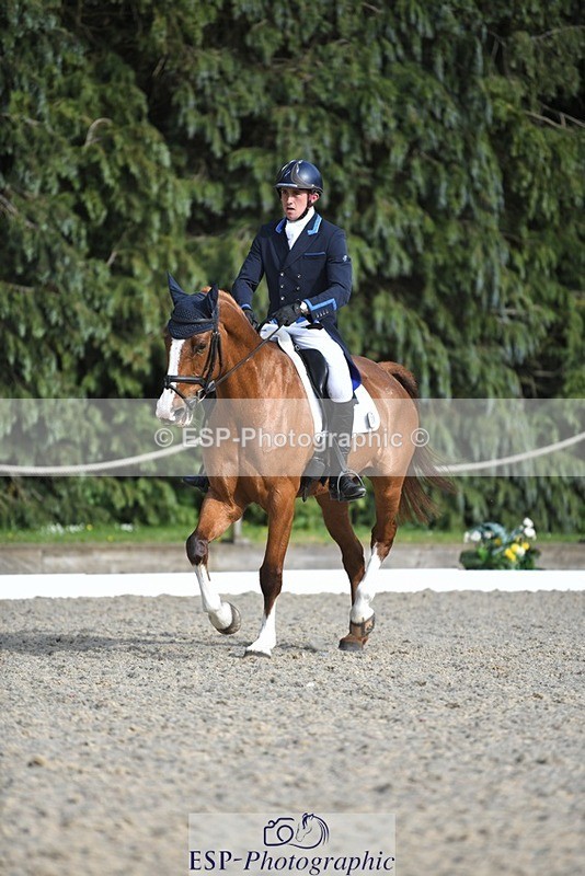 230525-175011-03611 - 131-FORTSIDE_COBRA-Freddie_Carden-WEDTrotUp+DR