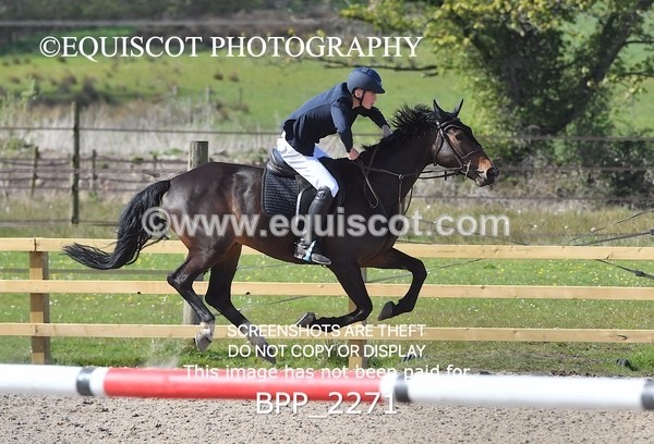 BPP_2271 - CLASS 22 SUN Senior BritiNovice/ 90cm Open