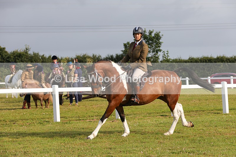 1X9A2899 - Class 25: Ridden Plaited Coloured Horse