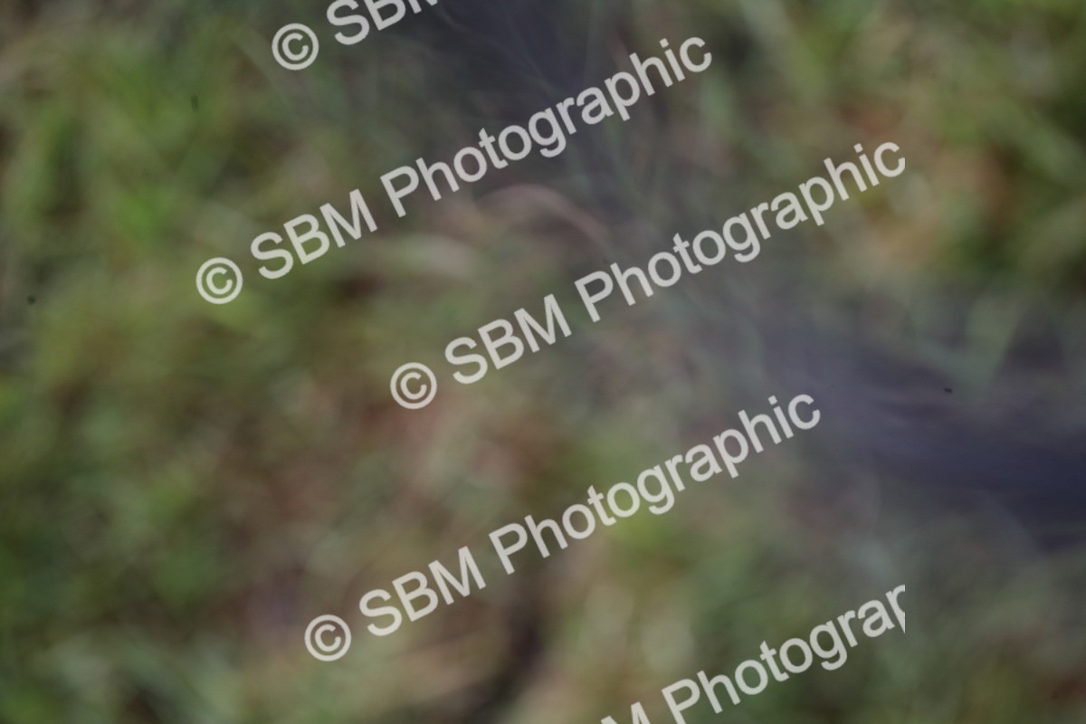 SBM_11526 - Class 95-96 - LIHS BSHA Rising Star Hack Riding Horse